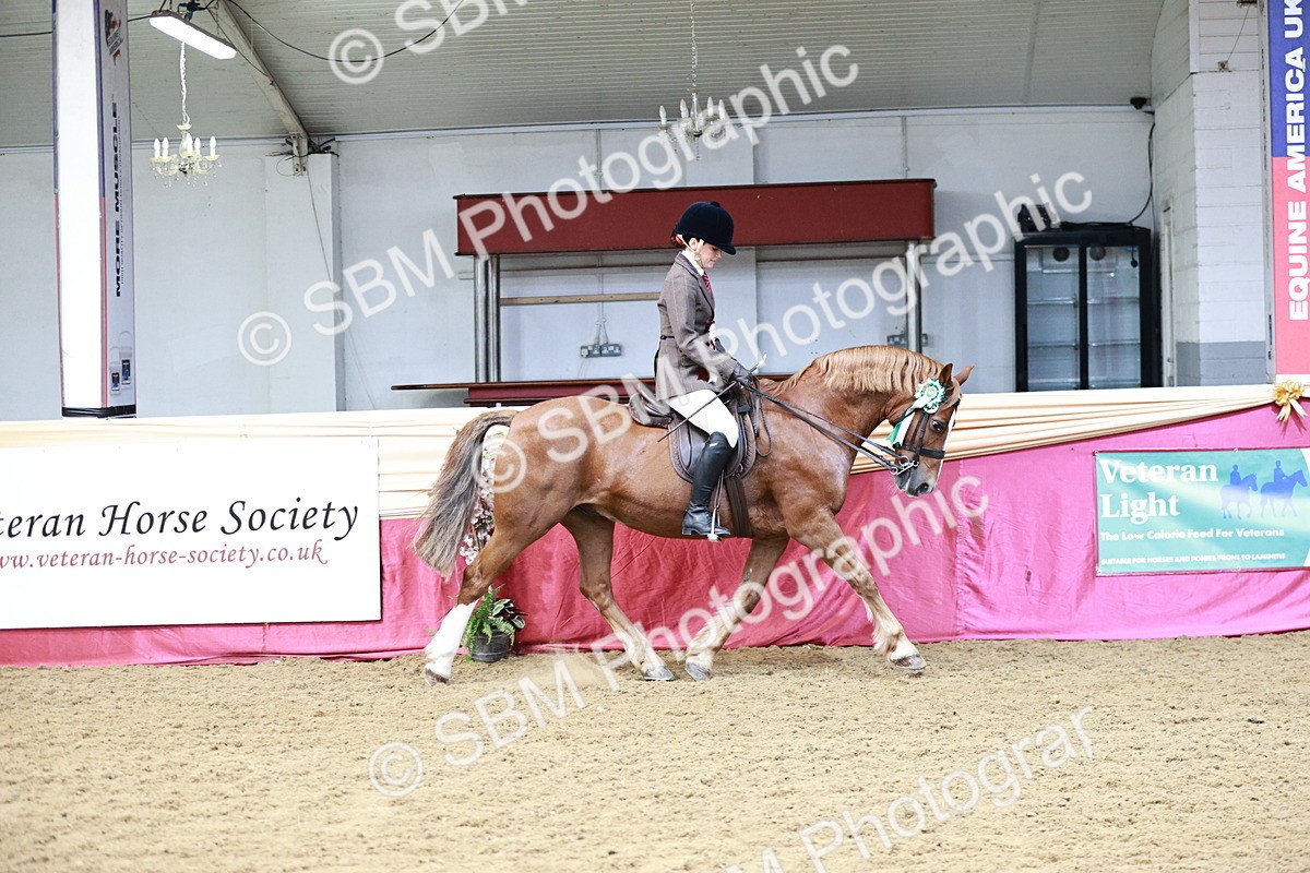 SBM_02404 - Class 4A - Area Ridden Diamond