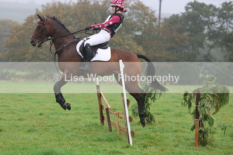 3E7A0826 - Class 1: 65cm: Rails