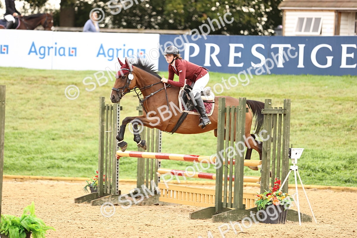 SBM_58339 - J41 - Grand Tour Horse & Pony 95cm