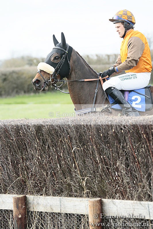 PtP 230319 219 - VWH Hunt Siddington Point-to-Point Racing 23/03/19