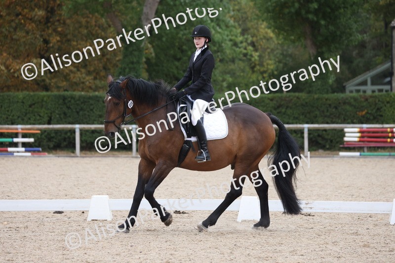 20250820-0357 - Class 11 - My Quest Novice 3