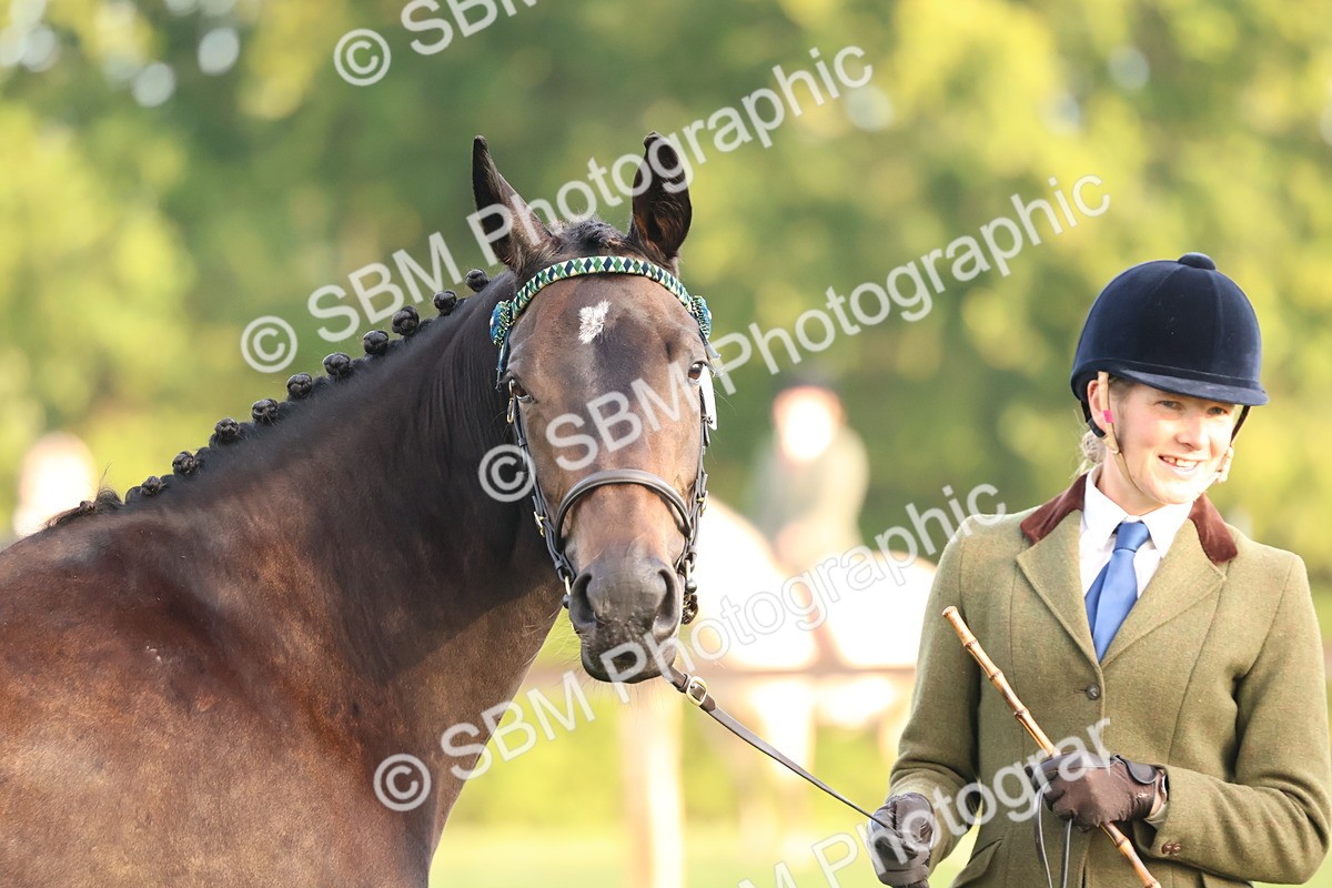 SBM_54550 - S38 - Starters Best Turnout