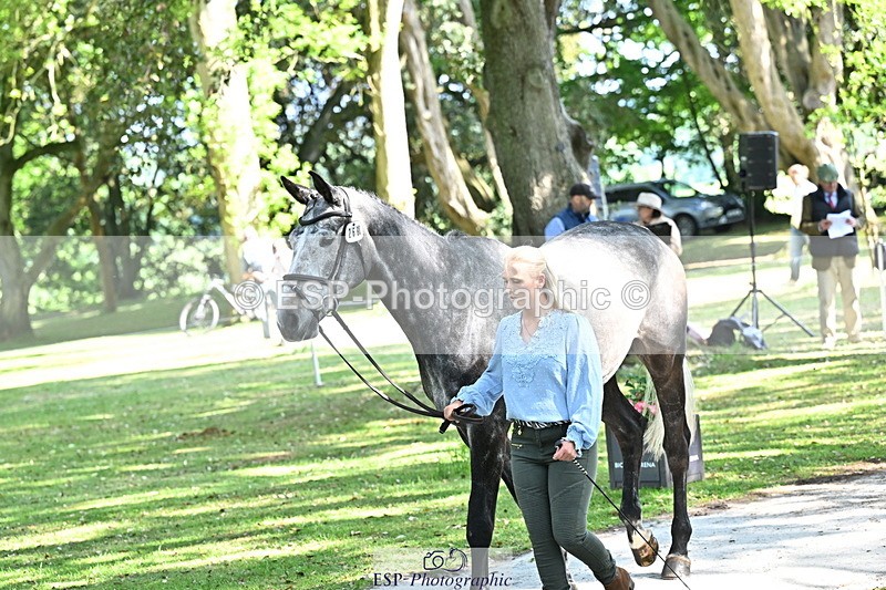 250521A-160550-00915 - C-268-Lucy.Stimson-RUSTINO