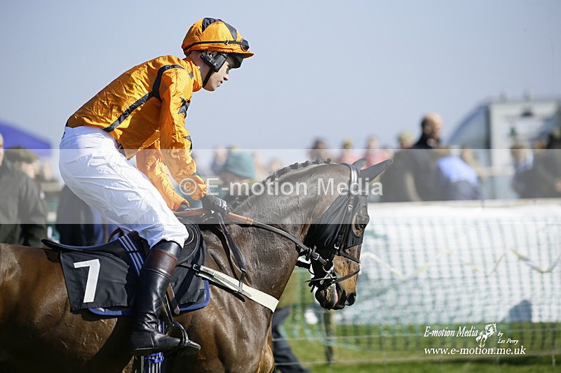 PtP 190322 482 - Wilton Hunt PtP Milborne St Andrew 19/03/22