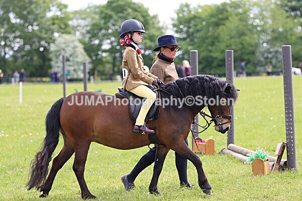 IMG_2331 - Working Hunter