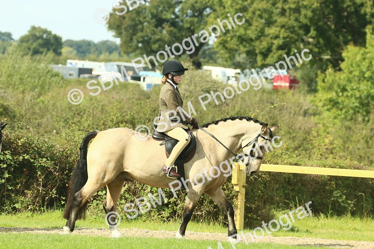 SBM_67382 - S56 - Coloured Pony Ridden