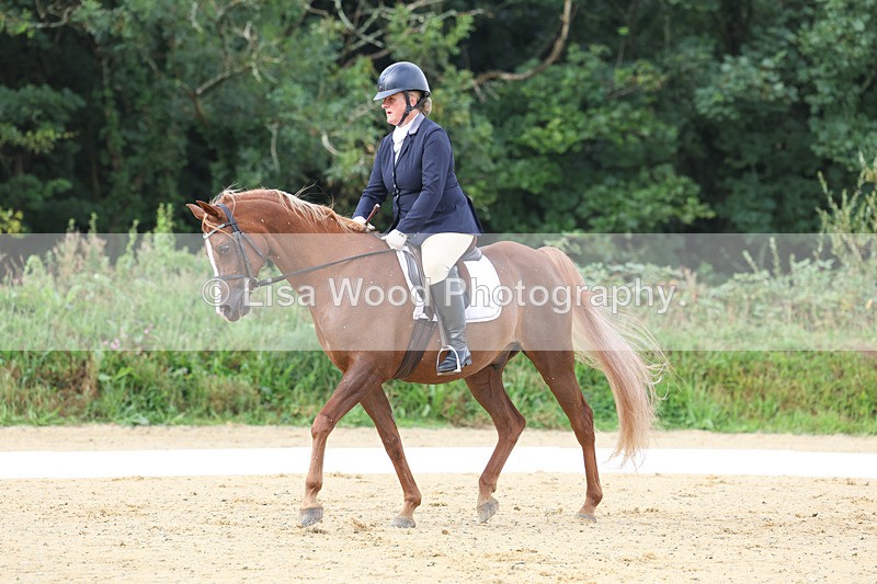 3E7A1919 - Class 1: Intro 4 2024 section A