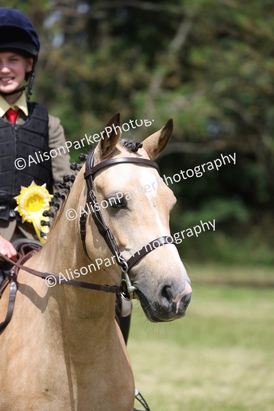 20260614-2153 - Class 21 - Novice Working Hunter Pony