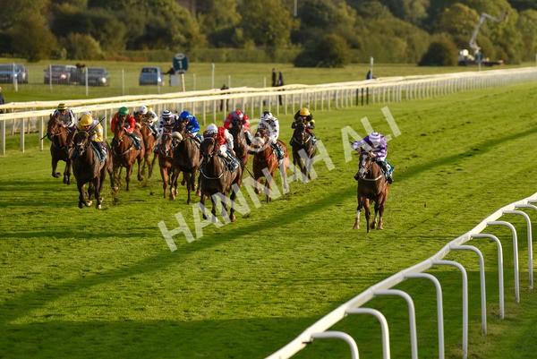 131023-Race 6-Wen Moon-9869 - Race 6 5.00pm Copper Knight - Winning Most Horse At York Handicap