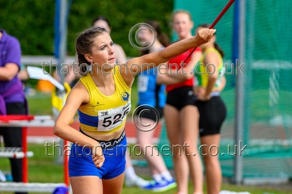 Age25SAT-926136 - Field Female Set One