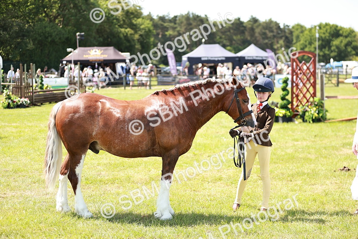 SBM_15612 - Class 108-109 - BSPS LIHS Open Gradle & Nursery Stakes