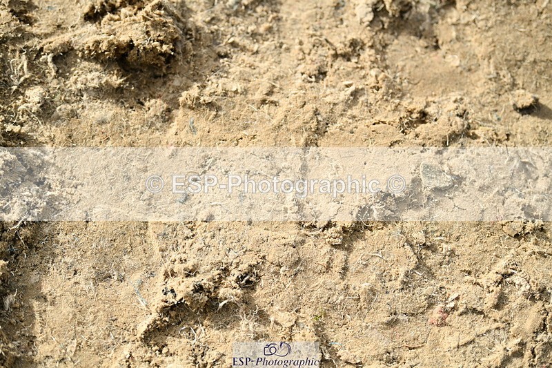 251004A-155749-02034 - Classes 8 & 9 70cm