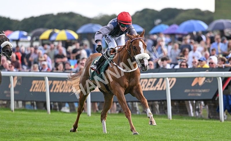 190826-218 Miss Yechance - Race 6 16.45pm Irish Thoroughbred Marketing Handicap