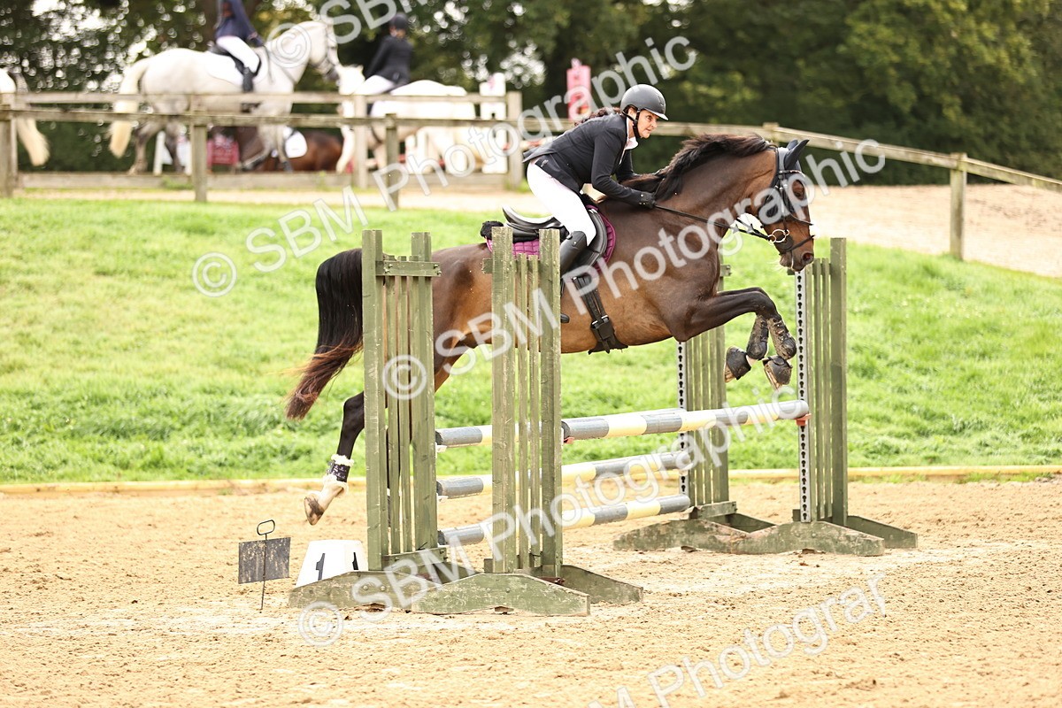 SBM_58542 - J41 - Grand Tour Horse & Pony 95cm