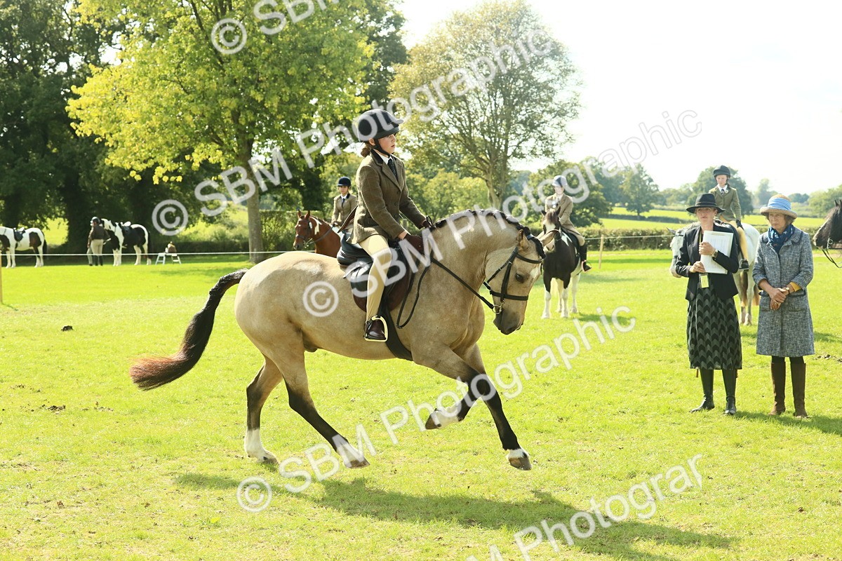 SBM_67630 - S56 - Coloured Pony Ridden