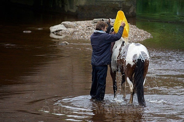  - Appleby Horse Fair