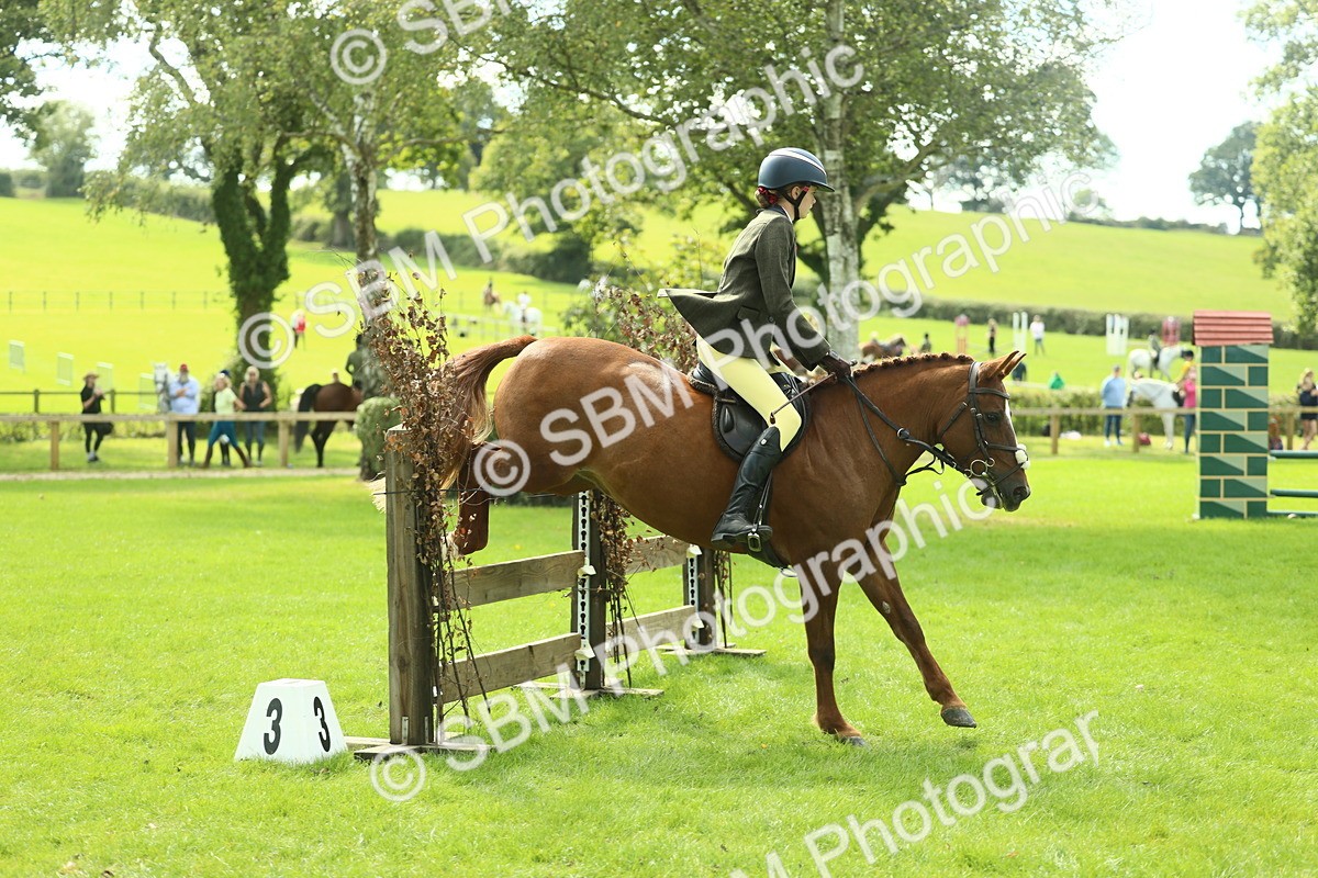 SBM_44564 - S31 - Working Hunter Pony