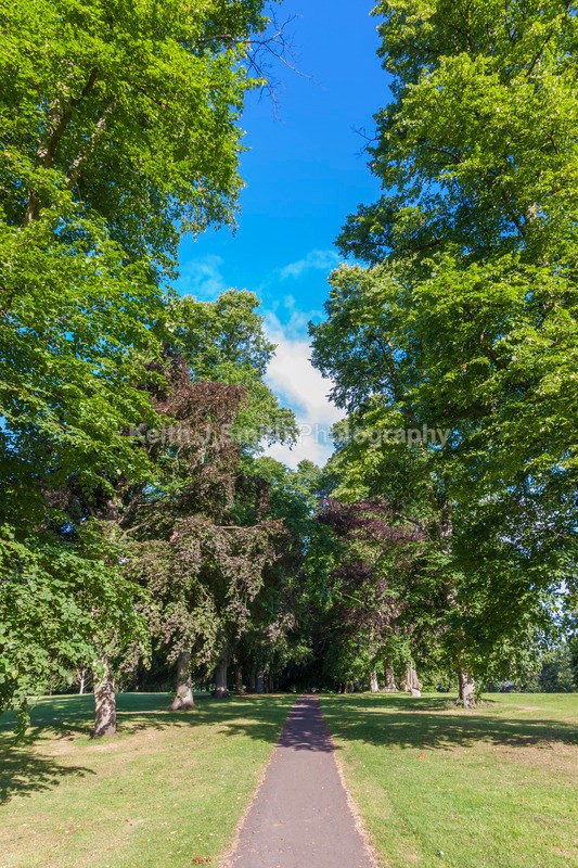 7SKJ0505 - Trees in Abington Park