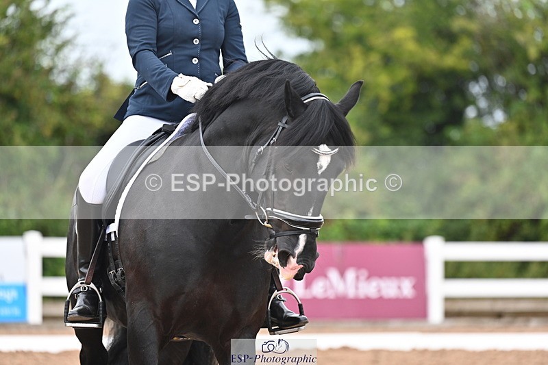 240817A-144300-09642 - 195-Jennie.Medlock-Bric.a.Brac