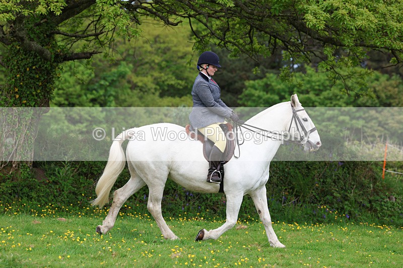 3E7A1348 - Class 7: Ridden Hunter Type