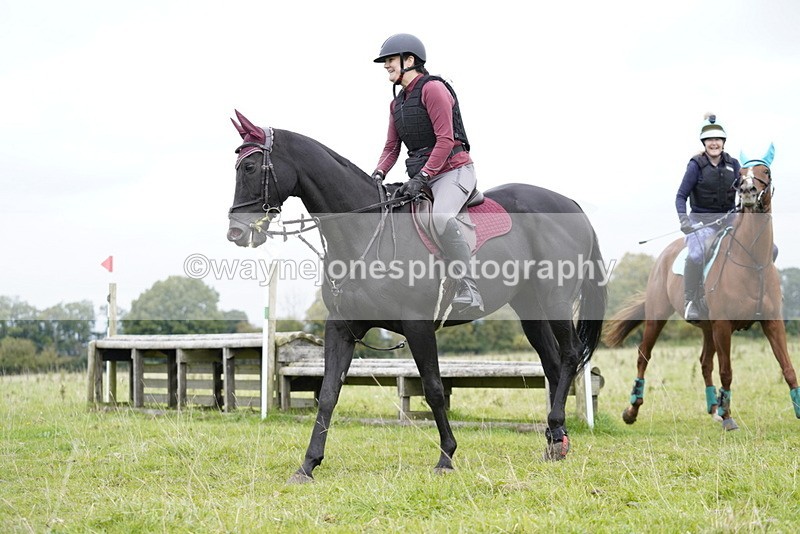 _DSC7112 - Time at Photographer 10:43 to 11:19