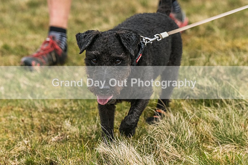 Hartside-4 - Dockray-Hartside Fell Race Wednesday 6th May 2026