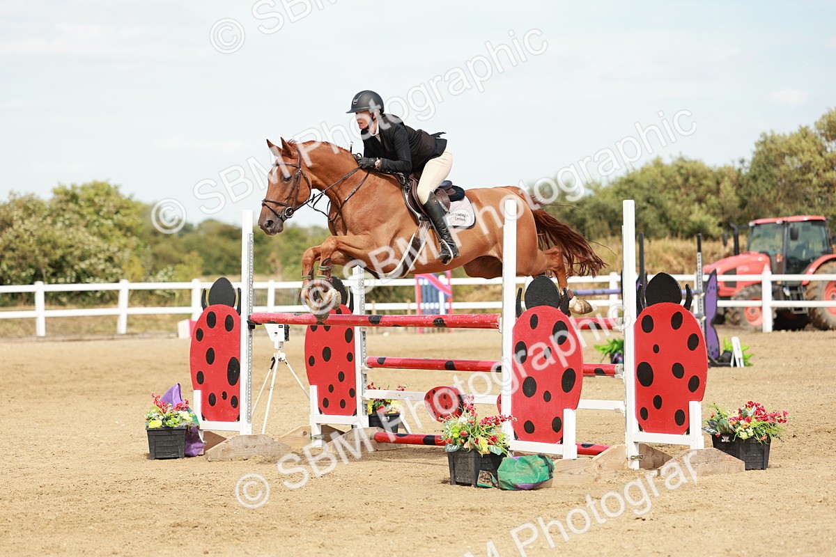 SBM_008098 - Class 4 - Senior Foxhunter - 1.20m Open