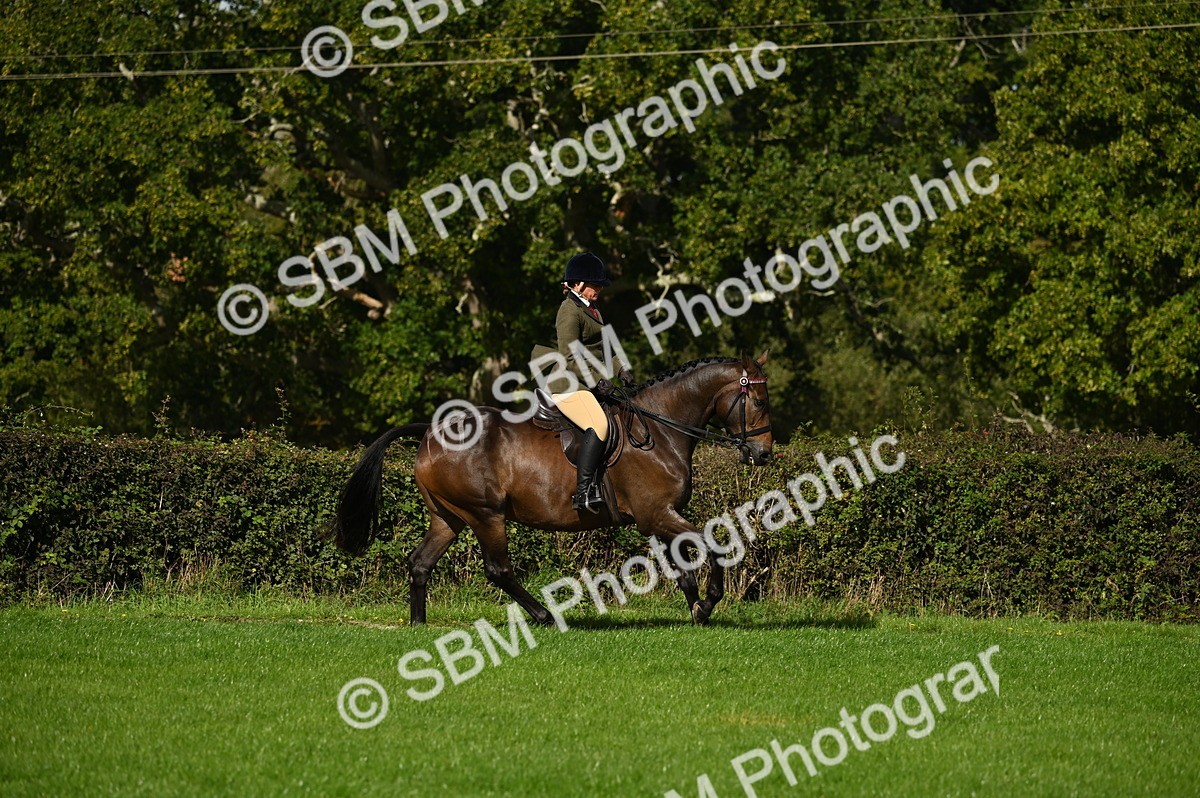 SBM_01453 - S2 - TSR Ridden Horse Showing