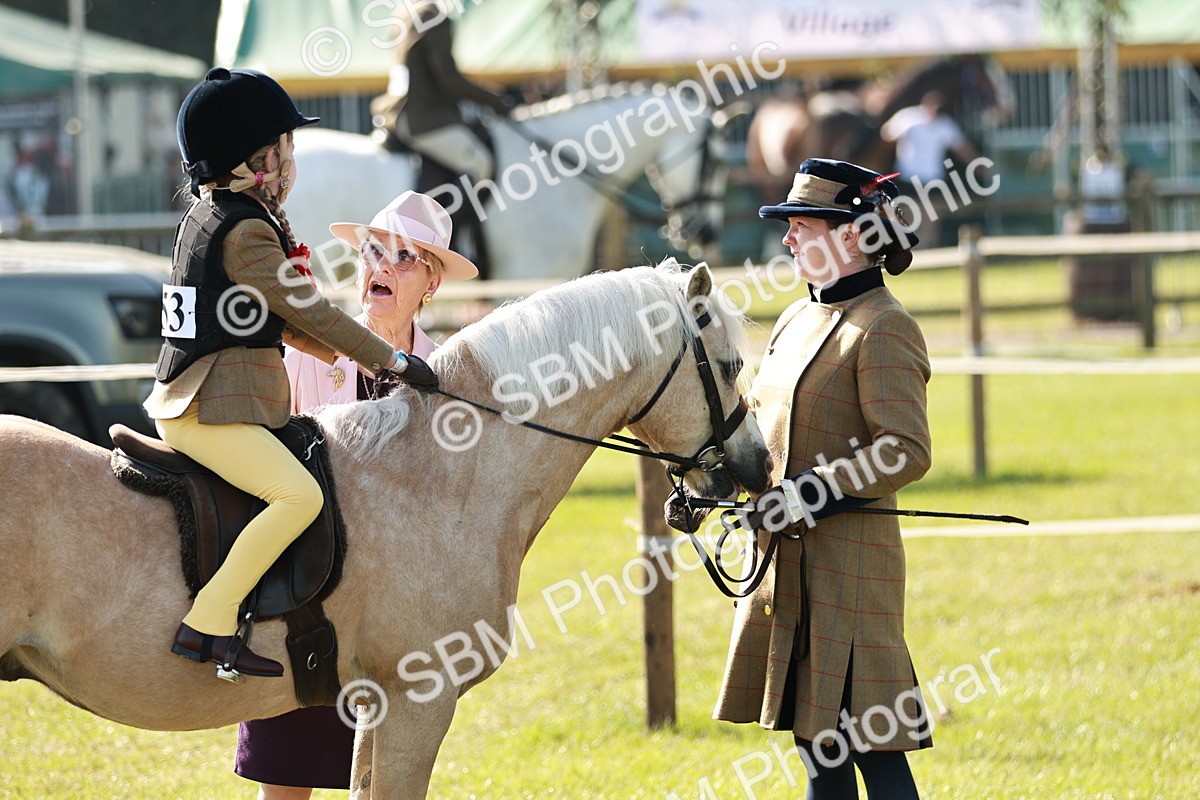 SBM_11241 - Class 106-107 - BSPS LIHS Working Sports Pony