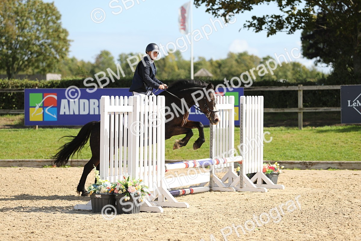 SBM_05620 - J35 - Veteran Rider 60cm