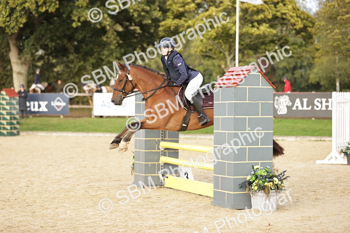 SBM_29895 - j52 - Open 80cm