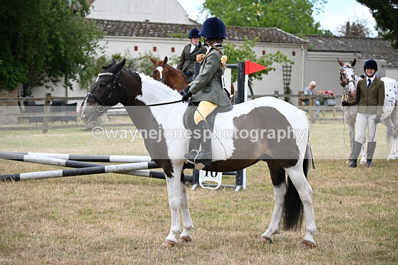 WJ6_3879 - Class 9 Tack & Turnout