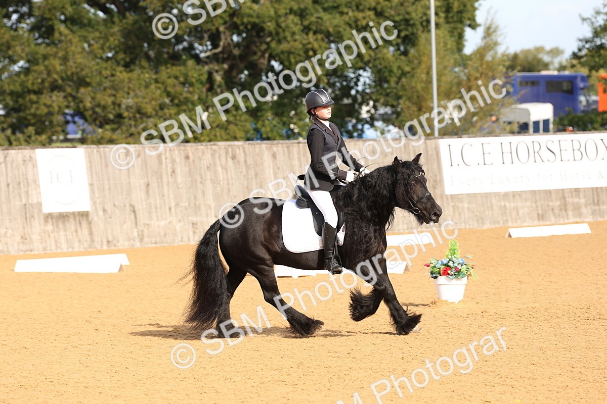 SBM_16111 - D10 - Small Tour Championship Prelim 2