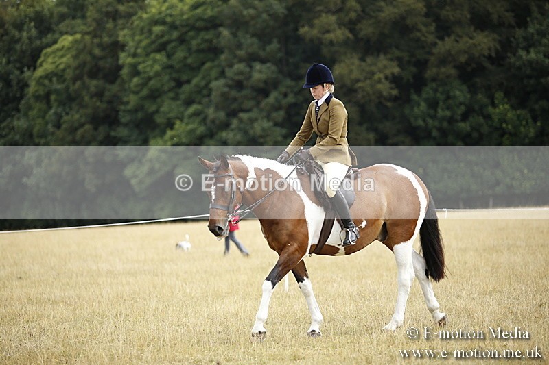 _C7A9521 - BVRC Show 2018 Ring 1