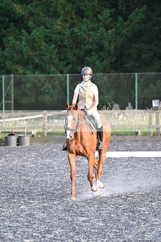 WJ7_0255 - Time 19:38 to 20:00