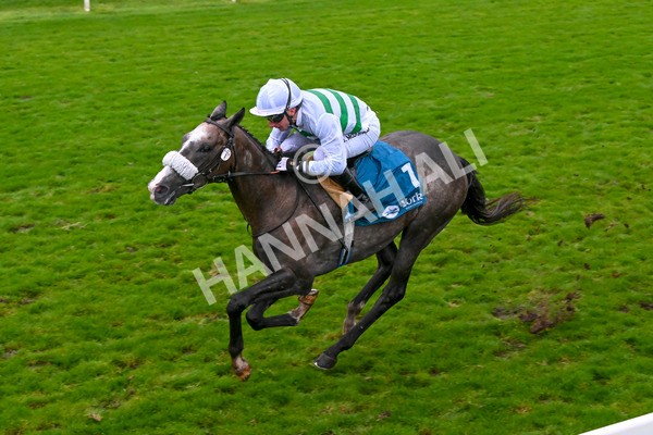 121024-Race 5-Almeric-3293 - Race 5 3.55pm Coral Racing Club EBF Maiden Stakes
