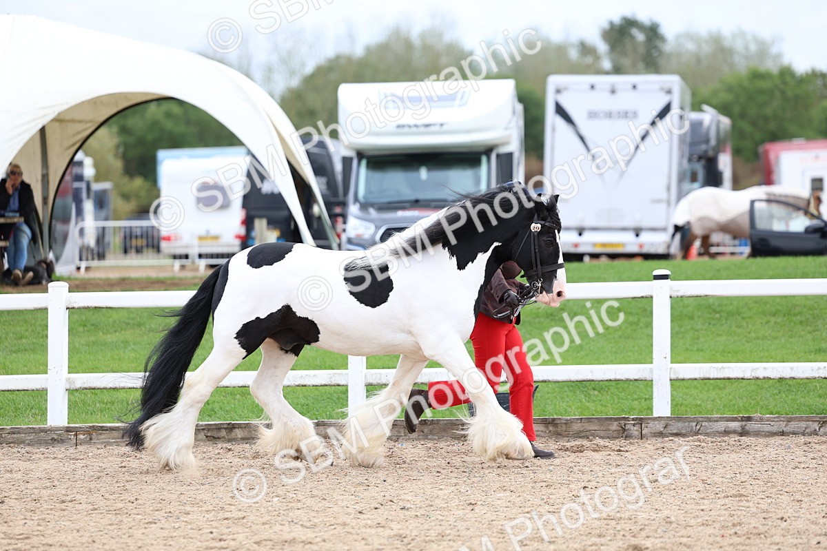 SBM_05859 - Class 29 - IH Veteran Pony