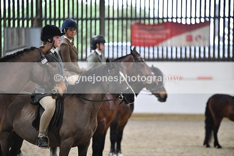 WJ5_8541 - Class 14 Novice Ridden/Rider