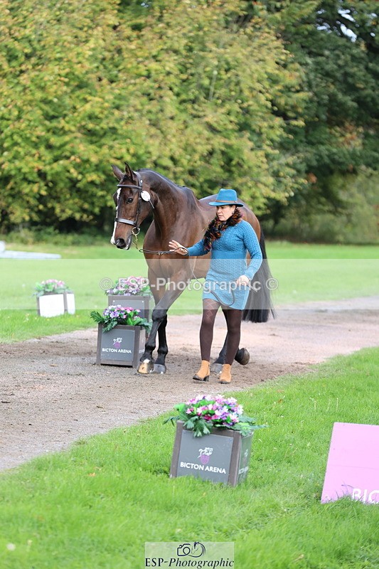251026A-115609-25767 - G-518-Nicky.Ralph