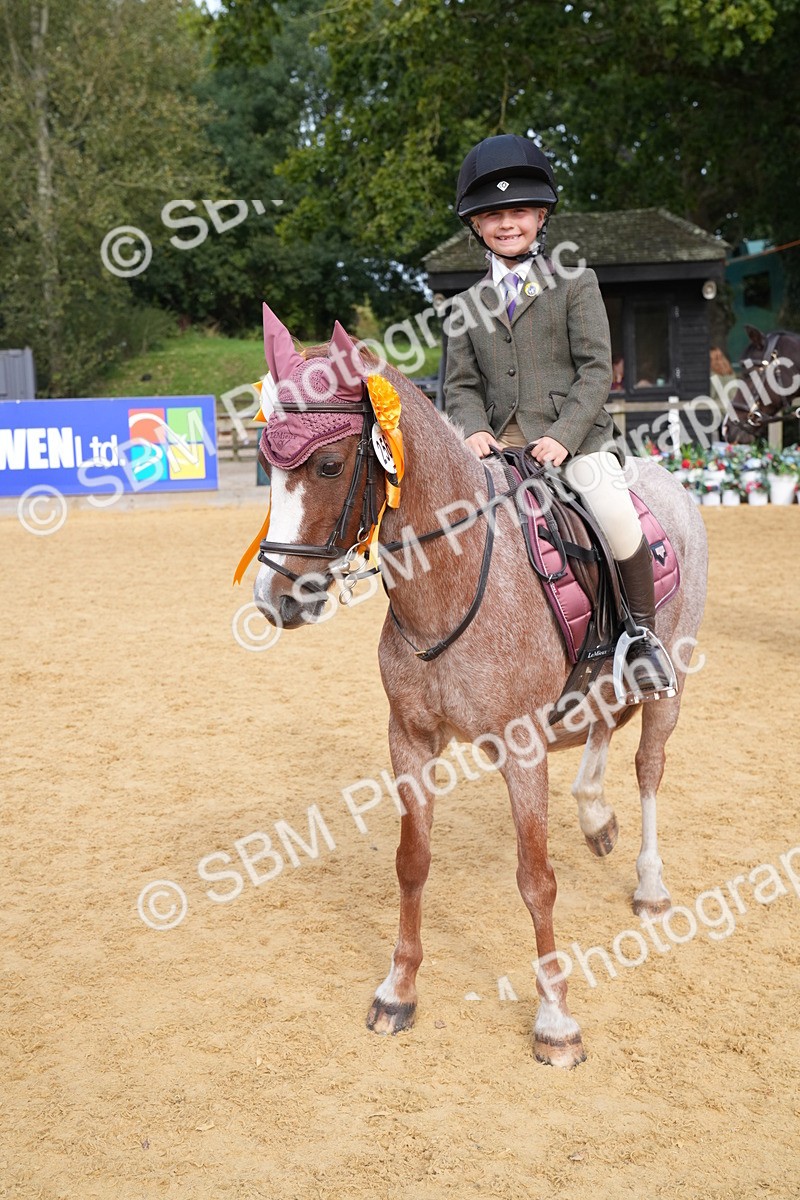 SBM_70507 - J3 - Mini Tour Junior Pony 40cm Championship