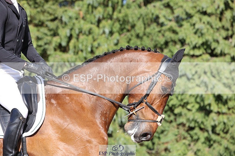 230526-174344-08020 - 180-GUEULE_DE_REVE-Arthur_Duffort-WEDTrotUp+DR