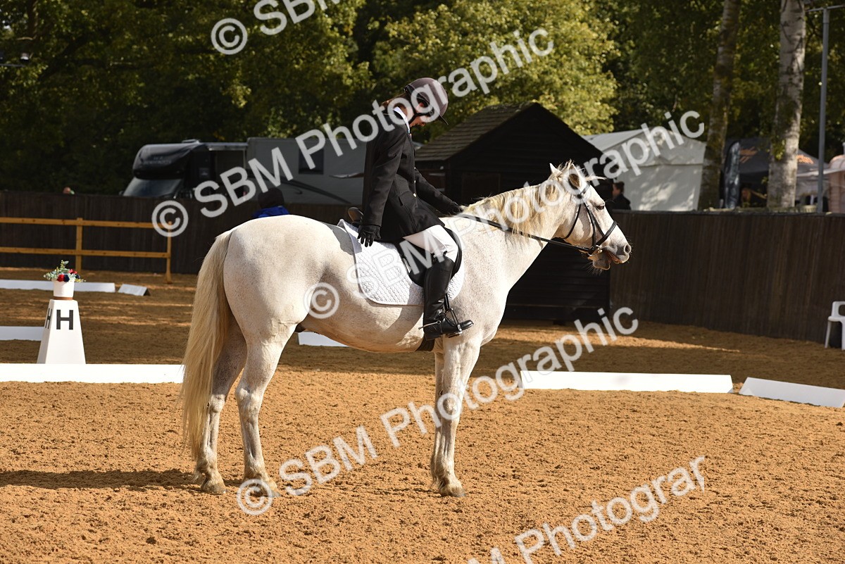 SBM_02187 - D7 - Small Tour Championship Prelim 2