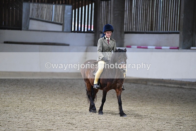 WJ5_8599 - Class 14 Novice Ridden/Rider