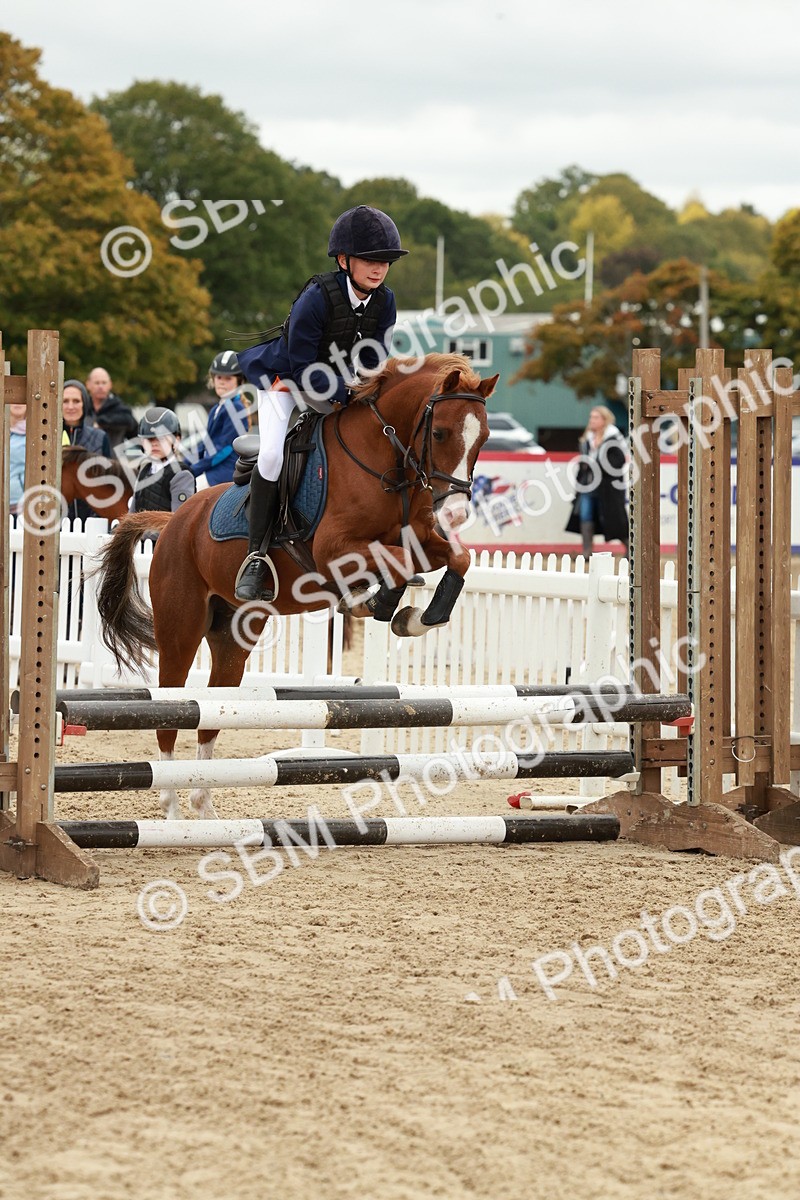 SBM_67184 - J13 - Junior Pony 60cm Championship