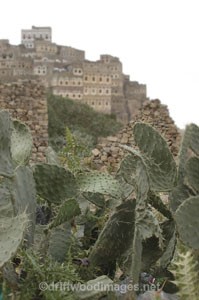  - Yemen, Arabian Peninsula