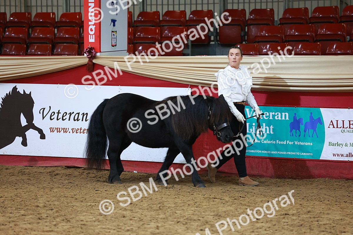 SBM_18398 - Class 903 - Sup Final - IH Pre Vet