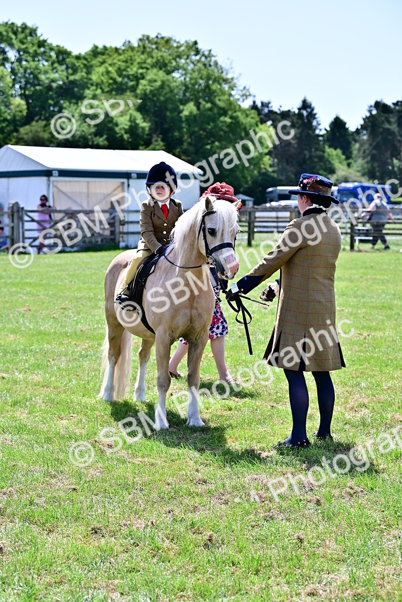 SBM_05925 - Class 59-60 - TSR M&M  Lear Rein and First Ridden Amateur of the year
