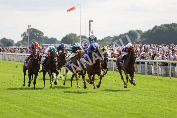 yr18082021r3-56 - Race 3 3.00pm Sky Bet Great Voltigeur Stakes