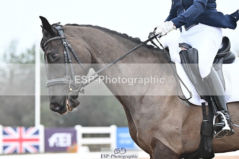 240217A-115030-02028 - 142-Helen.Lees-Legend.of.Zorro