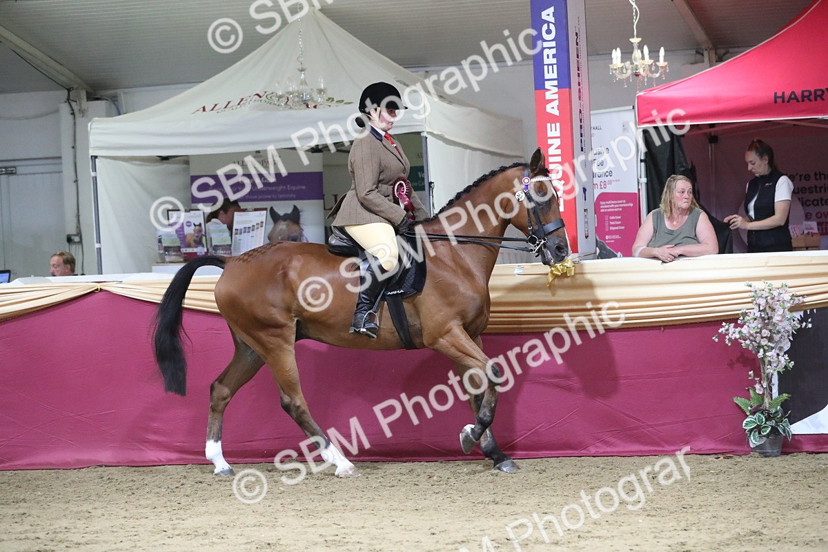 SBM_08520 - Class 11R Regional Ridden Veteran